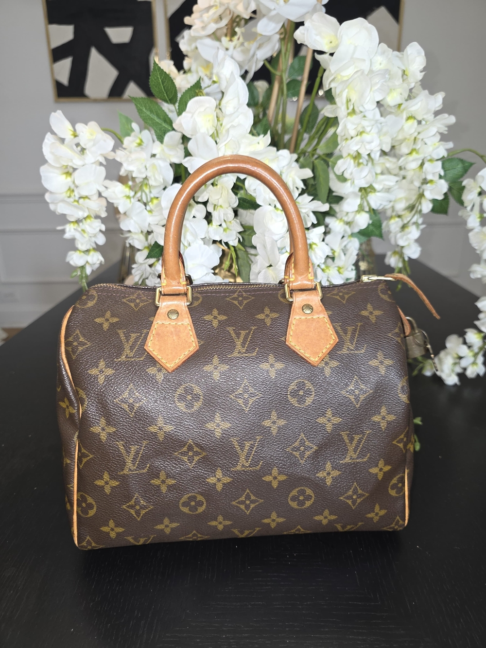 Louis Vuitton Brown Monogram Speedy 25 Satchel
